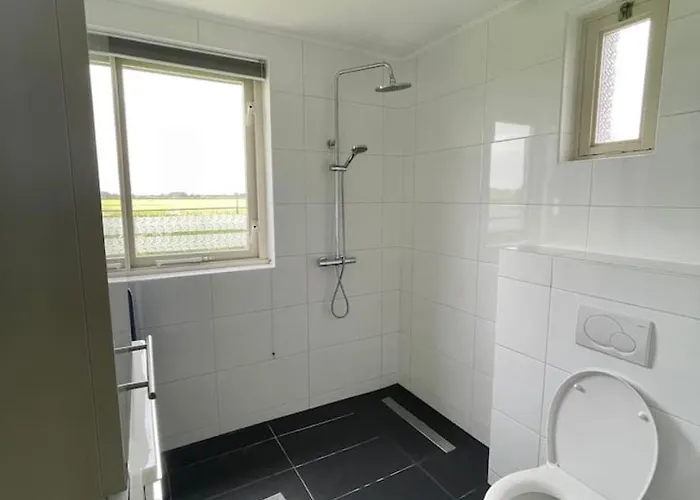 6 - Persoons Forest 223