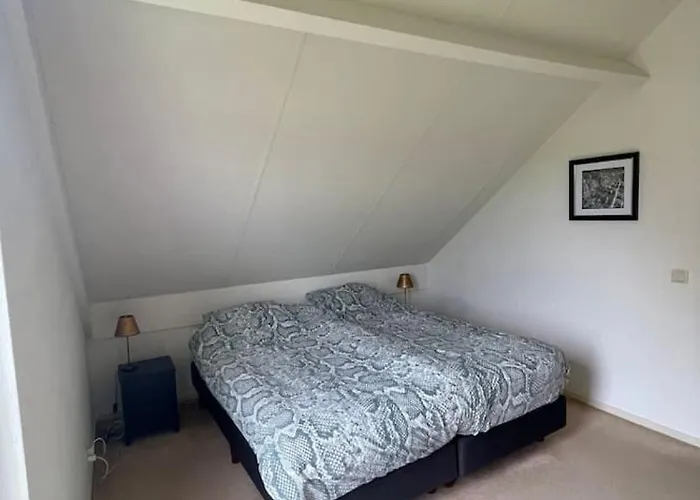 6 - Persoons Forest 223